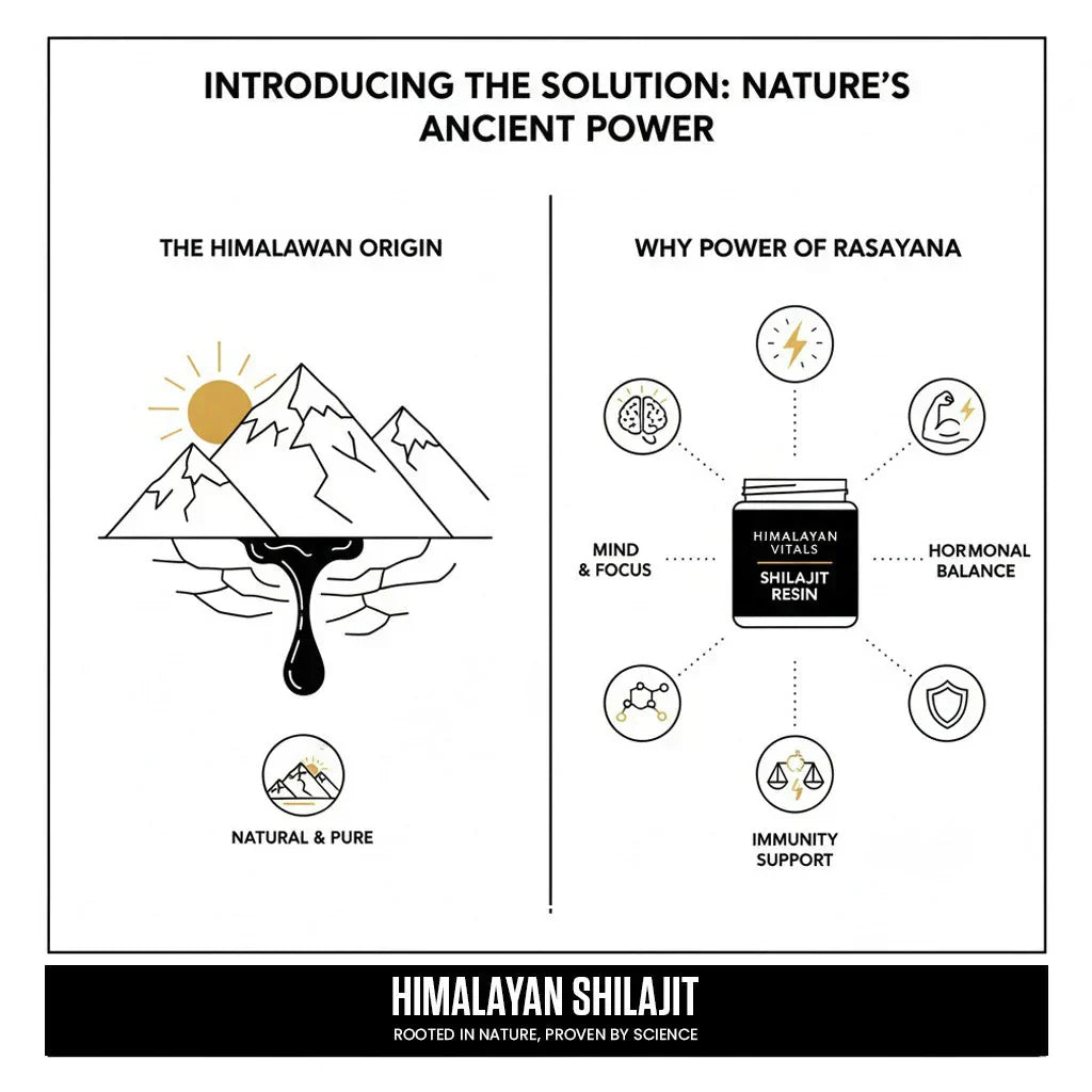 Shilajit and Cognitive Health