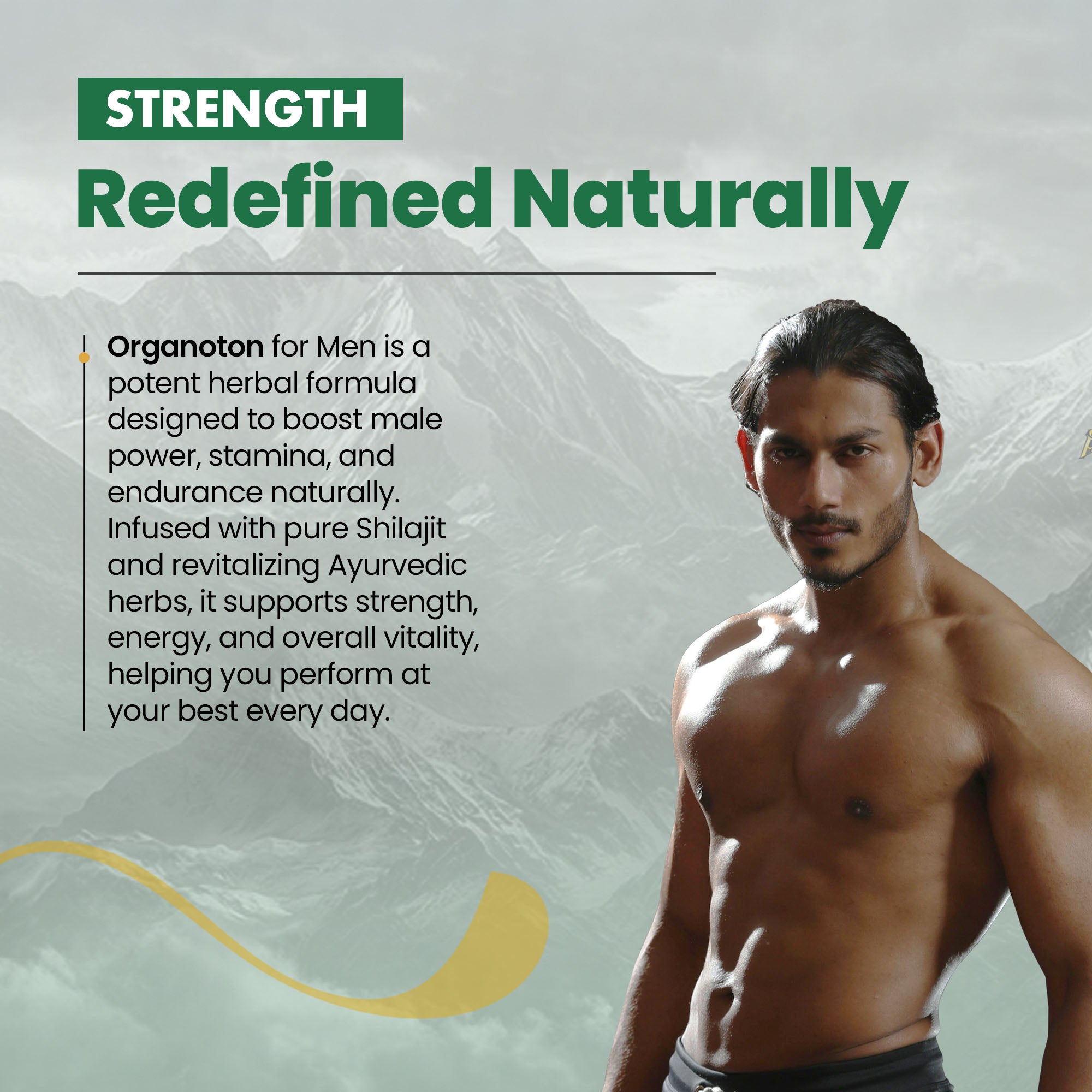 Organotan, Shilajit Multivitamin Capsules for men, 60 serving